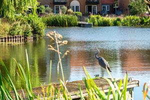 Photo 14- click for photo gallery